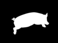 oinksonlinelogo